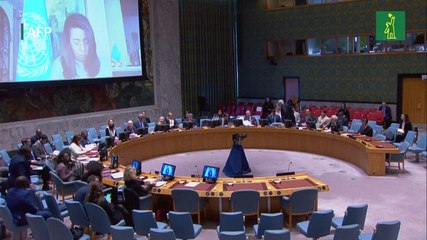 ONU advierte que violencia de pandillas se extiende a ritmo "alarmante" en Haití