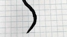 Serpente nero disegno