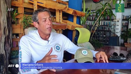 Un coral exótico asfixia arrecifes en Venezuela y amenaza el Caribe