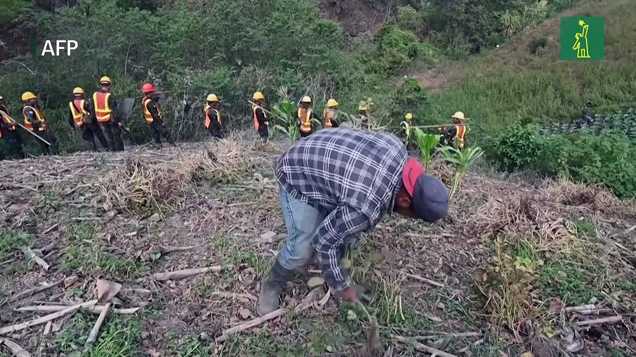 Más de 64.000 hectáreas de bosques quemadas este año en Honduras