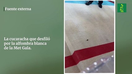 La cucaracha que desfiló por la alfombra blanca de la Met Gala