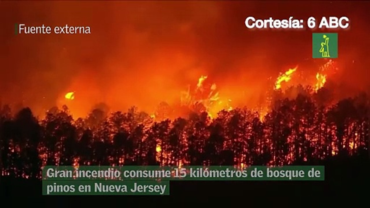Gran incendio consume 15 kilómetros de bosque de pinos en Nueva Jersey