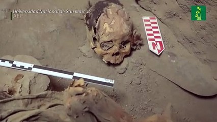Hallan momia de adolescente de unos 800 años en Perú