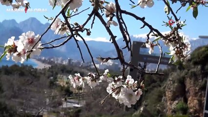 Bu sefer serinlemek için değil ısınmak için denize girdiler: "Şu anda su sıcak ama dışarısı soğuk"