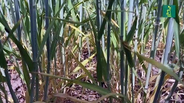 El hemisferio norte sufre fenómenos meteorológicos extremos