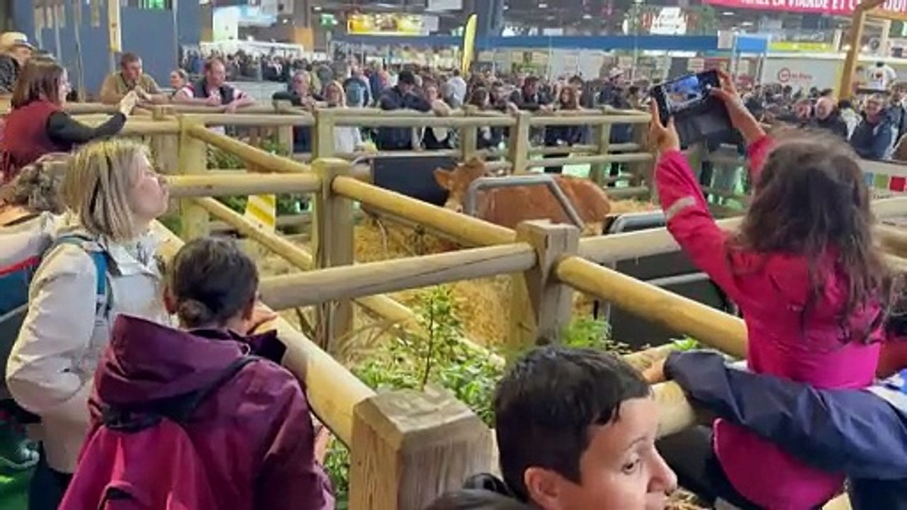 Paris: ouverture du Salon de l'agriculture