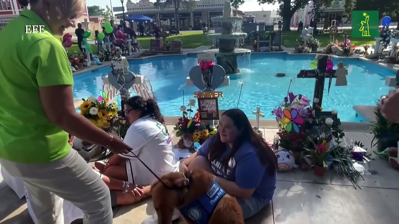 En Estados Unidos los perros de terapia ayudan a las víctimas de los tiroteos masivos