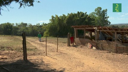 Agricultores de Europa y Sudamérica, dos mundos alejados ante un mismo acuerdo