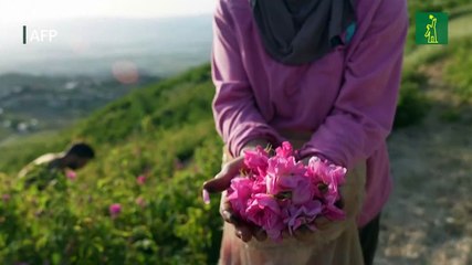 El olor a tradición perdura en el "pueblo de las rosas" de Líbano