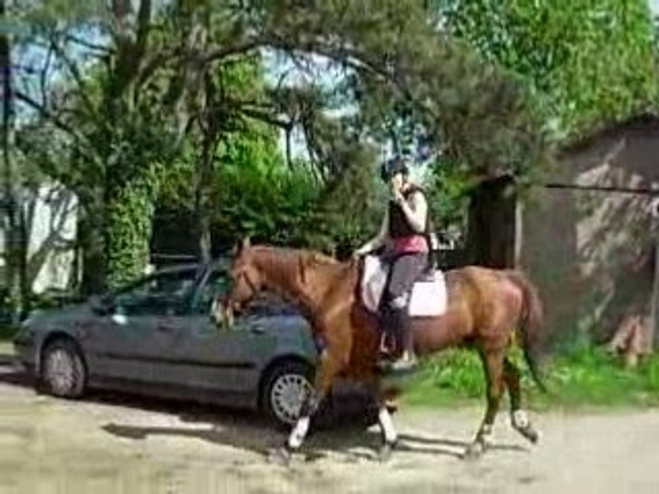 retour d'une balade avec texous^^