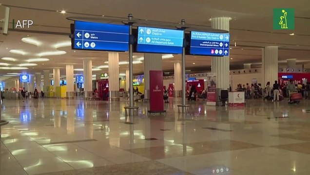 Recuperación espectacular de las compañías aéreas tras debacle por la pandemia