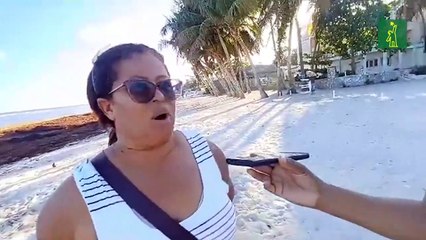 Sargazo afecta el comercio en la playa Del Pescador, de Guayacanes