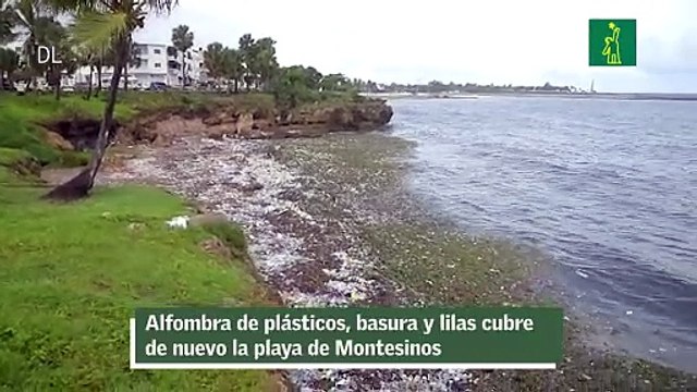 Alfombra de plásticos, basura y lilas cubre de nuevo la playa de Montesinos