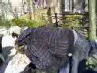 Accouplement julien flo