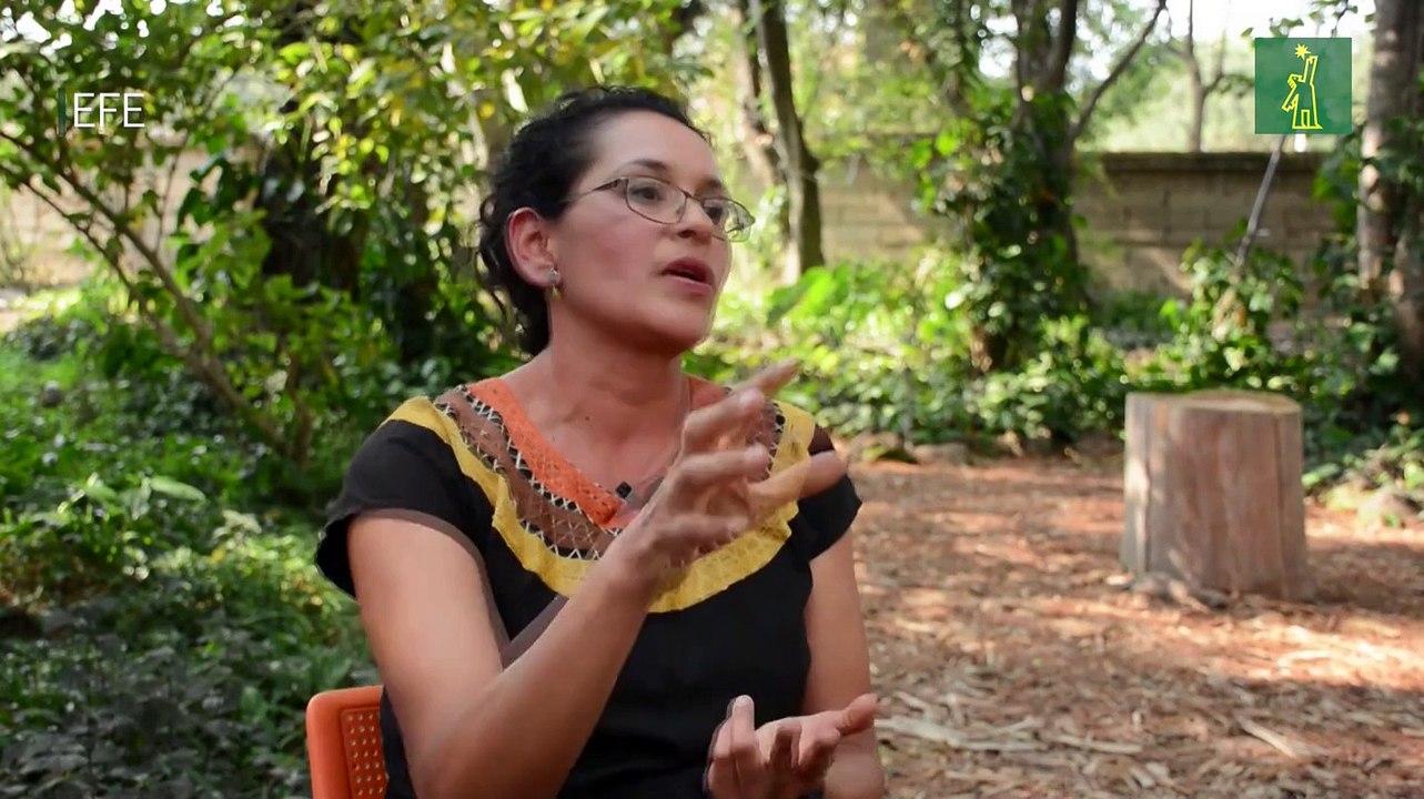 Sobreproducción de agave para tequila en México enciende alarmas climáticas