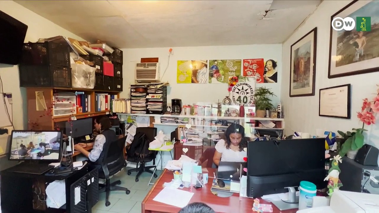 Florida arriesga un éxodo de trabajadores migrantes