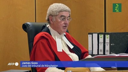 Enfermera británica condenada a prisión de por vida por asesinatos de bebés