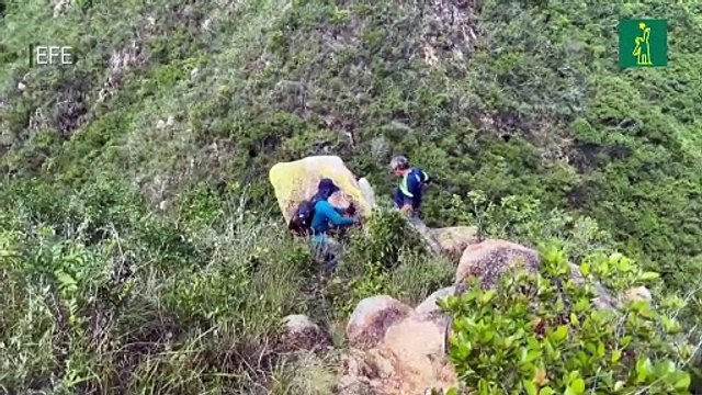 Arqueólogos descubren una ciudad perdida prehispánica en Acapulco