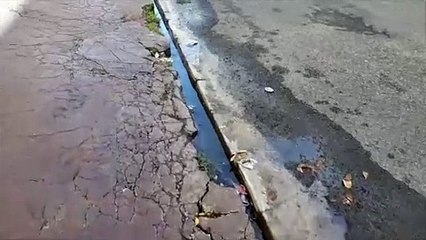 Fuga de agua en la calle Leonor Feltz del Mirador Sur