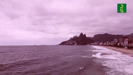 Una ballena jorobada nada junto a su cría en una playa de Río de Janeiro