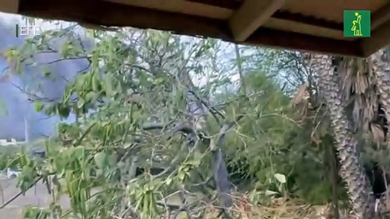 Soldados y helicópteros son desplegados por el Pentágono en Hawái para sofocar los incendios
