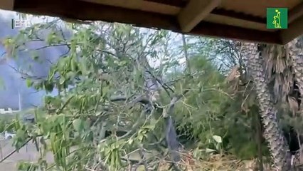 Soldados y helicópteros son desplegados por el Pentágono en Hawái para sofocar los incendios