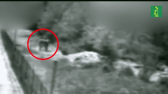 Miembros de Hezbolá libanés heridos por disparos de Israel cerca de la frontera