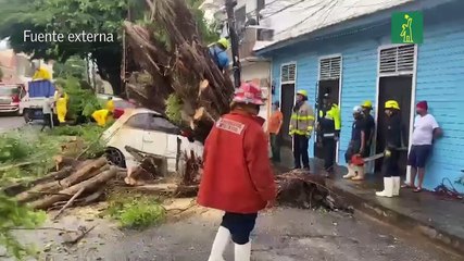 Árbol cae encima de vehículo en Ciudad Colonial ante paso de Franklin