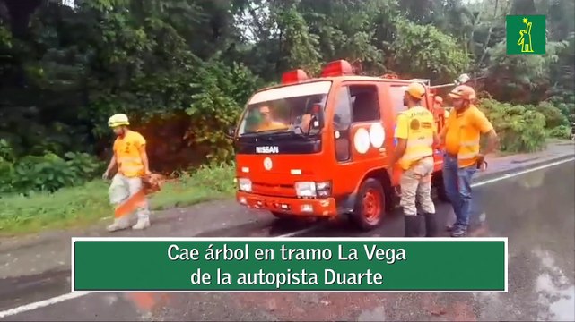 Cae árbol en tramo La Vega de la autopista Duarte