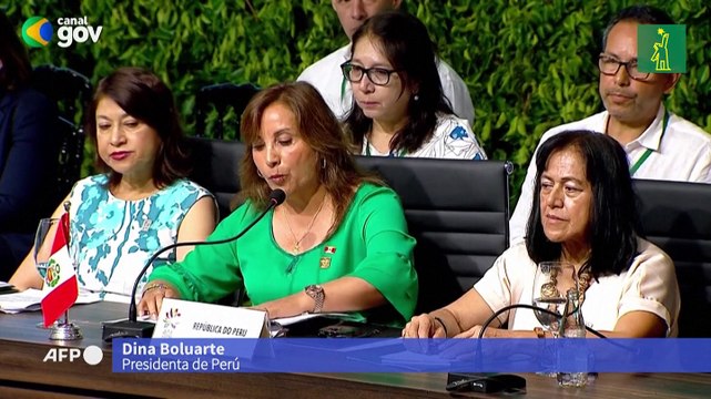 Países amazónicos lanzan alianza contra deforestación, pero sin metas comunes