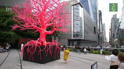 Arte y Conciencia Climática en las Calles de Nueva York
