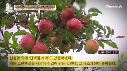 ※특명※ 모든 음식을 '보약화'하라♨ 몸에 좋은 건 무조건 김 씨 일가의 입으로?!