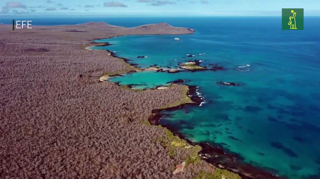 Floreana se alista para la reintroducción de 12 especies extintas en isla Galápagos
