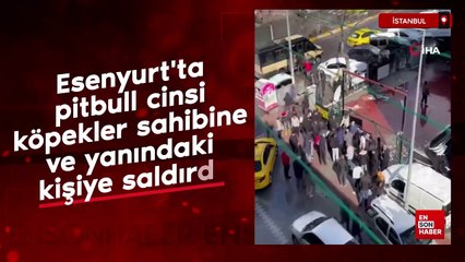 Esenyurt'ta pitbull cinsi köpekler sahibine ve yanındaki kişiye saldırdı