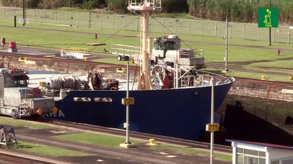 Autoridades de Canal de Panamá dicen que nunca se ha dado un atasco de 200 buques