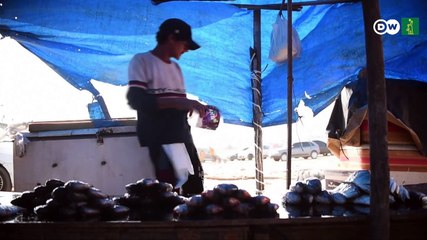 Amazonas: puertos secos y alimentos caros