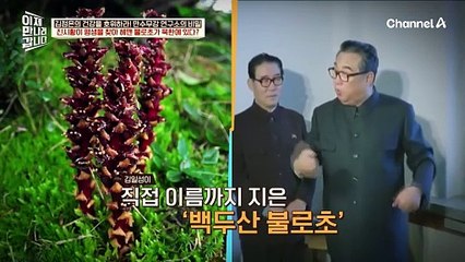 진시황이 평생을 찾아 헤맨 불로초가 북한에 있다? 직접 공수해 온 '백두산 불로초'의 맛은♨