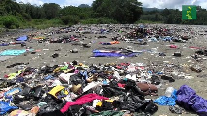 El paso masivo de migrantes por la jungla del Darién está dejando cicatrices ambientales