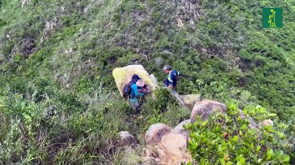 Arqueólogos descubren una ciudad perdida prehispánica en Acapulco