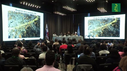 Los defensores ambientales en Latinoamérica están en "peligro de extinción"