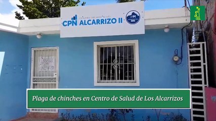 Plaga de chinches en Centro de Salud de Los Alcarrizos