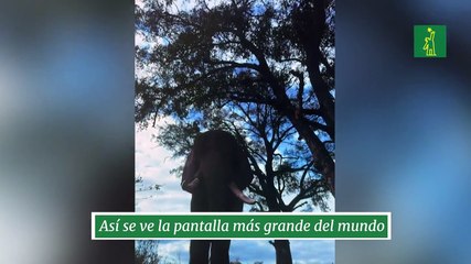 Así se ve la pantalla más grande del mundo