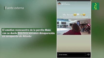 El emotivo reencuentro de la perrita Maia con su dueña tras tres semanas desaparecida en aeropuerto de Atlanta