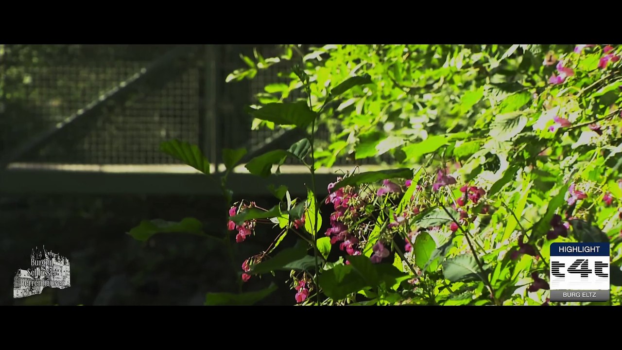 Tips-4-Trips - #Tipp21 -- Burg Eltz