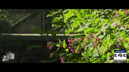 Tips-4-Trips - #Tipp21 -- Burg Eltz