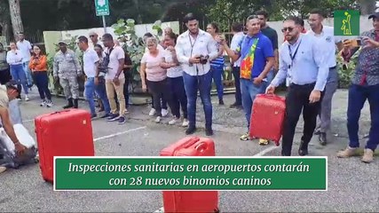 Inspecciones sanitarias en aeropuertos contarán con 28 nuevos binomios caninos