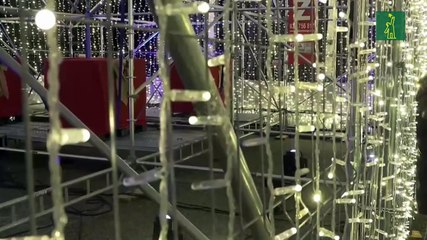 El árbol de Navidad "más grande de Europa" ya brilla en la pequeña localidad de Cartes