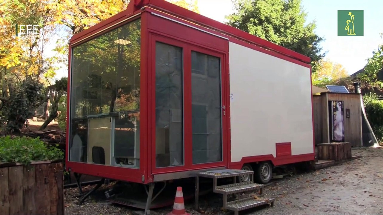 Janus, la tortuga de dos cabezas más longeva del mundo, cambia de domicilio en Ginebra