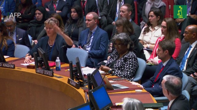 Consejo de Seguridad de ONU rechaza con veto de EEUU resolución sobre conflicto Israel-Hamás
