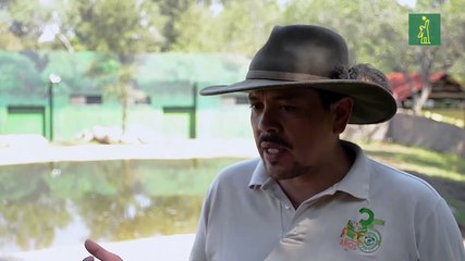 Dos rinocerontes indios encuentran hogar en un zoológico de Guadalajara